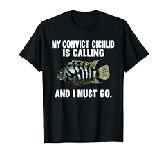 Convict cichlids calling for sale  Delivered anywhere in USA 