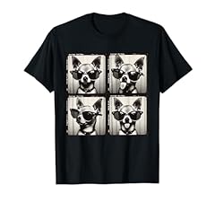 Chihuahua pup cool for sale  Delivered anywhere in UK