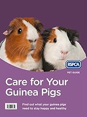 Care guinea pigs for sale  Delivered anywhere in UK
