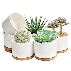Zoutog plant pot for sale  Delivered anywhere in USA 