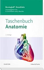 Benninghoff taschenbuch anatom gebraucht kaufen  Wird an jeden Ort in Deutschland