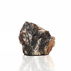 Amtra petrified roche d'occasion  Livré partout en France