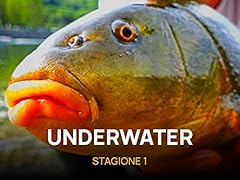 Underwater usato  Spedito ovunque in Italia 