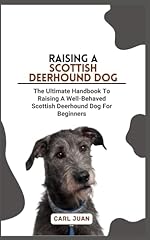 Scottish deerhound dog for sale  Delivered anywhere in UK