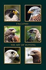 Falconry art hunting for sale  Delivered anywhere in UK
