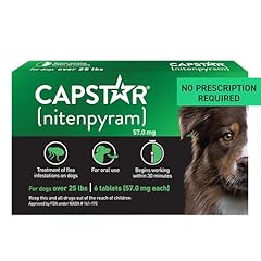 Capstar oral flea for sale  Delivered anywhere in USA 