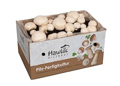 Hawlik pilzbrut grand d'occasion  Livré partout en France