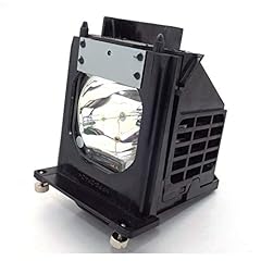 915p061010 replacement lamp for sale  Delivered anywhere in USA 