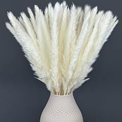 Pampas decorative alte usato  Spedito ovunque in Italia 