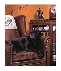 Black labs past for sale  Delivered anywhere in UK