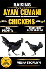 Raising ayam cemani d'occasion  Livré partout en Belgiqu