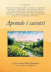 Aprendo cassetti usato  Spedito ovunque in Italia 