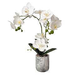 Wenhuidr white fake for sale  Delivered anywhere in USA 