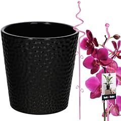 Kotarbau blumentopf schwarz gebraucht kaufen  Wird an jeden Ort in Deutschland