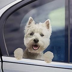 Aroggeld westie west gebraucht kaufen  Wird an jeden Ort in Deutschland