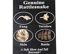 One fang bone for sale  Delivered anywhere in USA 