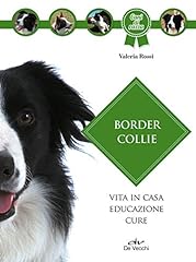 Border collie vita usato  Spedito ovunque in Italia 