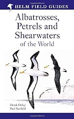 Albatrosses petrels shearwater usato  Spedito ovunque in Italia 