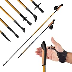 Bastoncini nordic walking usato  Spedito ovunque in Italia 