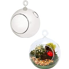 Terrarium globe plastic for sale  Delivered anywhere in USA 