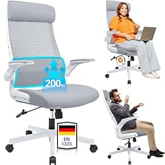 Melokea bürostuhl ergonomisch gebraucht kaufen  Wird an jeden Ort in Deutschland