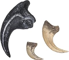 Dinosaur claw set for sale  Delivered anywhere in USA 