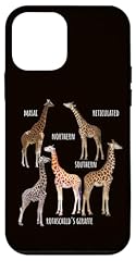 Tipo specie giraffa usato  Spedito ovunque in Italia 