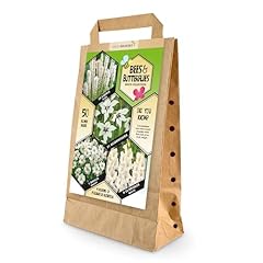 Bee butterfly summer for sale  Delivered anywhere in UK