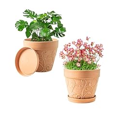 Plant pots indoor for sale  Delivered anywhere in USA 