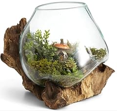 Teak wood terrarium for sale  Delivered anywhere in USA 