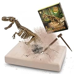 Muscccm dinosaur dig for sale  Delivered anywhere in UK
