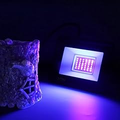 Light resin curing for sale  Delivered anywhere in USA 