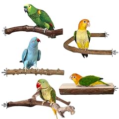 Vogelsitzstange natürlichem h gebraucht kaufen  Wird an jeden Ort in Deutschland