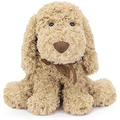 Weigedu poodle puppy for sale  Delivered anywhere in USA 