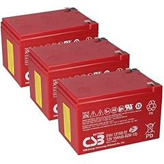 Wsb battery akkusatz gebraucht kaufen  Wird an jeden Ort in Deutschland