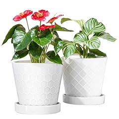 Buymax plant pots for sale  Delivered anywhere in USA 