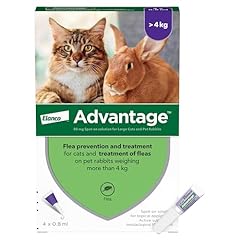Advantage flea treatment for sale  Delivered anywhere in UK
