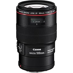 Canon 100mm 2.8l usato  Spedito ovunque in Italia 