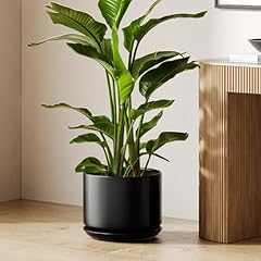 Tauci inch pots for sale  Delivered anywhere in USA 