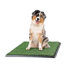 Artificial grass puppy for sale  Delivered anywhere in USA 