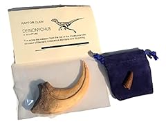 Cast replica deinonychus for sale  Delivered anywhere in USA 