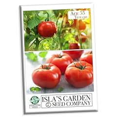Ace tomato seeds for sale  Delivered anywhere in USA 