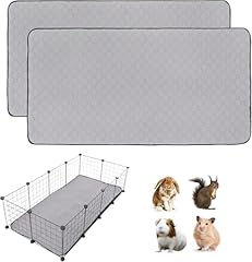 Pack guinea pig for sale  Delivered anywhere in USA 