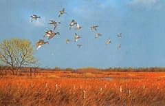 Owen gromme mallards for sale  Delivered anywhere in USA 