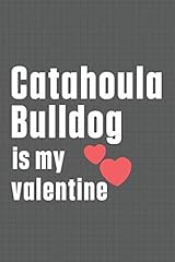 Catahoula bulldog valentine for sale  Delivered anywhere in UK