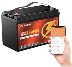 12v 100ah lithium for sale  Delivered anywhere in USA 