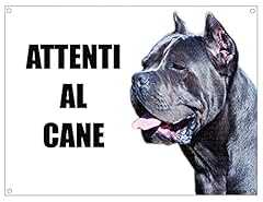Cane corso attenti usato  Spedito ovunque in Italia 