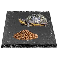 Czdtq slate tortoise for sale  Delivered anywhere in UK
