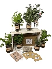 Set indoor herb for sale  Delivered anywhere in UK