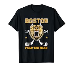 Boston ice hockey for sale  Delivered anywhere in USA 